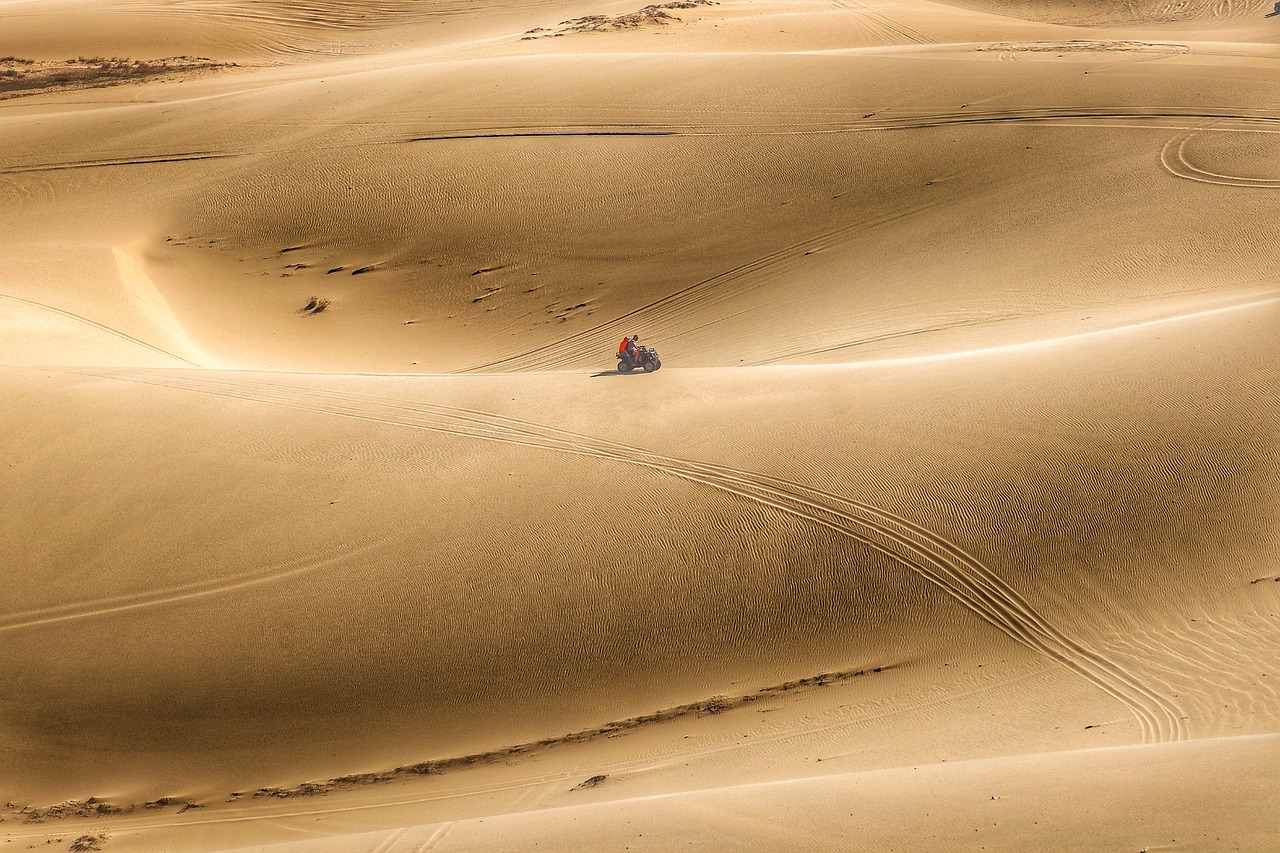 The Forgotten Civilizations of the Sahara Desert